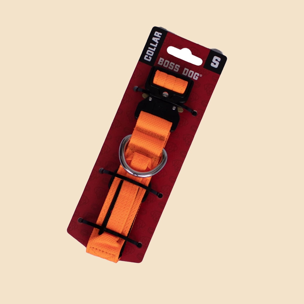 Boss Dog Tactical Collar, Hunter Orange, Small