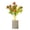 B, variant on B Creative Potted Plants Night Light With Simulated Fruit Led Bedside Lamp For Bedroom Ambient Light Home Decor Desktop Artistic Design
