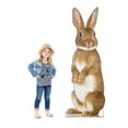 thumbnail image 3 of Bunny Rabbit Cardboard Cutout, 3 of 3