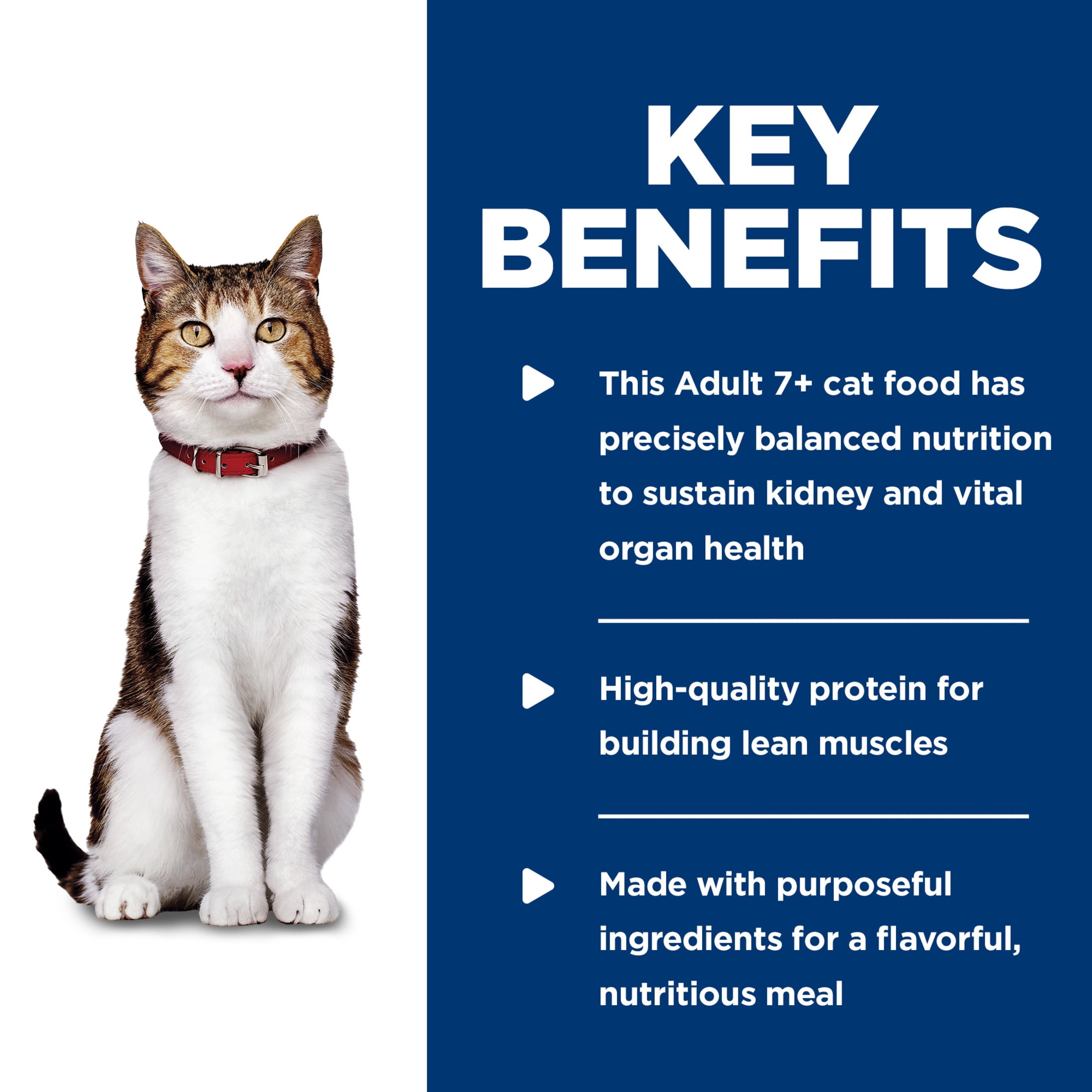 Hill's Science Diet Tender Chicken Dinner Wet Cat Food for 7+ Senior Cats, 5.5oz Can 24pk