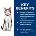 thumbnail image 5 of Hill's Science Diet Tender Chicken Dinner Wet Cat Food for 7+ Senior Cats, 5.5oz Can 24pk, 5 of 8