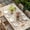 Off-White, variant on Beige Farm Animals Table Cloths for 8 Foot Rectangle Tables, Cow Farmhouse Patio Waterproof Elastic Fitted Tablecloths, Washable Rectangular Table Cover for Camping