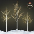 Prelit Birch Tree, 3 Pack 4FT 5FT 6FT Birch Tree with Warm White