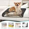 thumbnail image 6 of Qxltty The Star and The Maiden Cat litter Pads Pet Set of 3 Diaper Mats Center Anti-leakage Layer Absorbent Soft and Comfortable, 6 of 7
