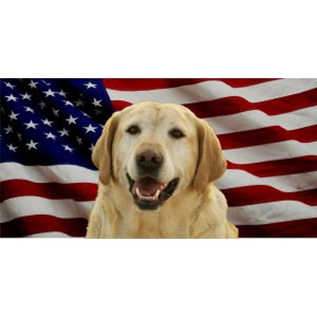 Lab Dog Plate - Yellow Lab Dog On United States Flag Photo License Plate