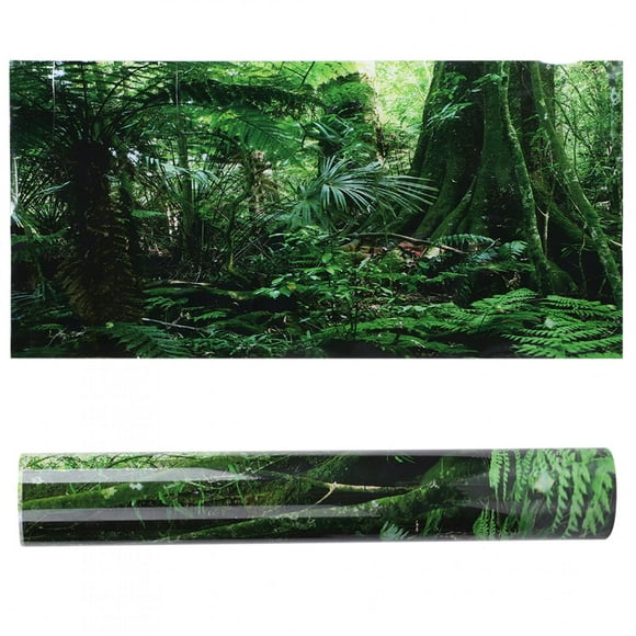 Rainforest Background, Fish Tank Poster, PVC For Reptile Box 91x50cm