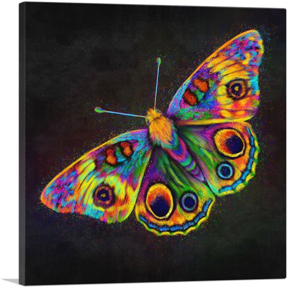 ARTCANVAS Butterfly Wings Insect Canvas Art Print - Size: 12" x 12" (0.75" Deep)
