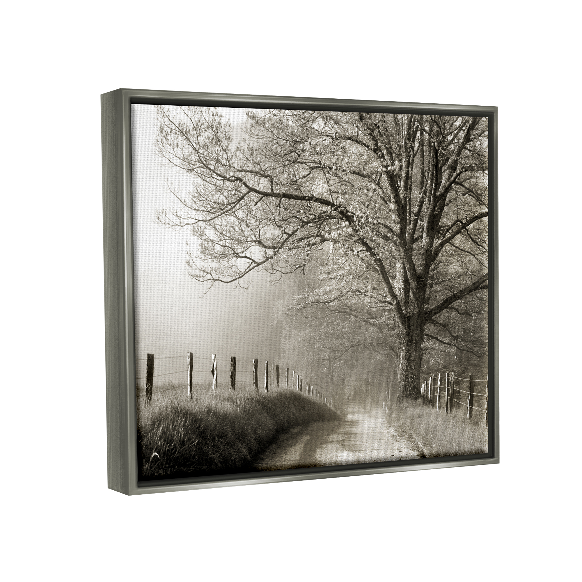 Stupell Rural Scenery Fenced Path Landscape Photography Gray Floater Framed Art Print Wall Art