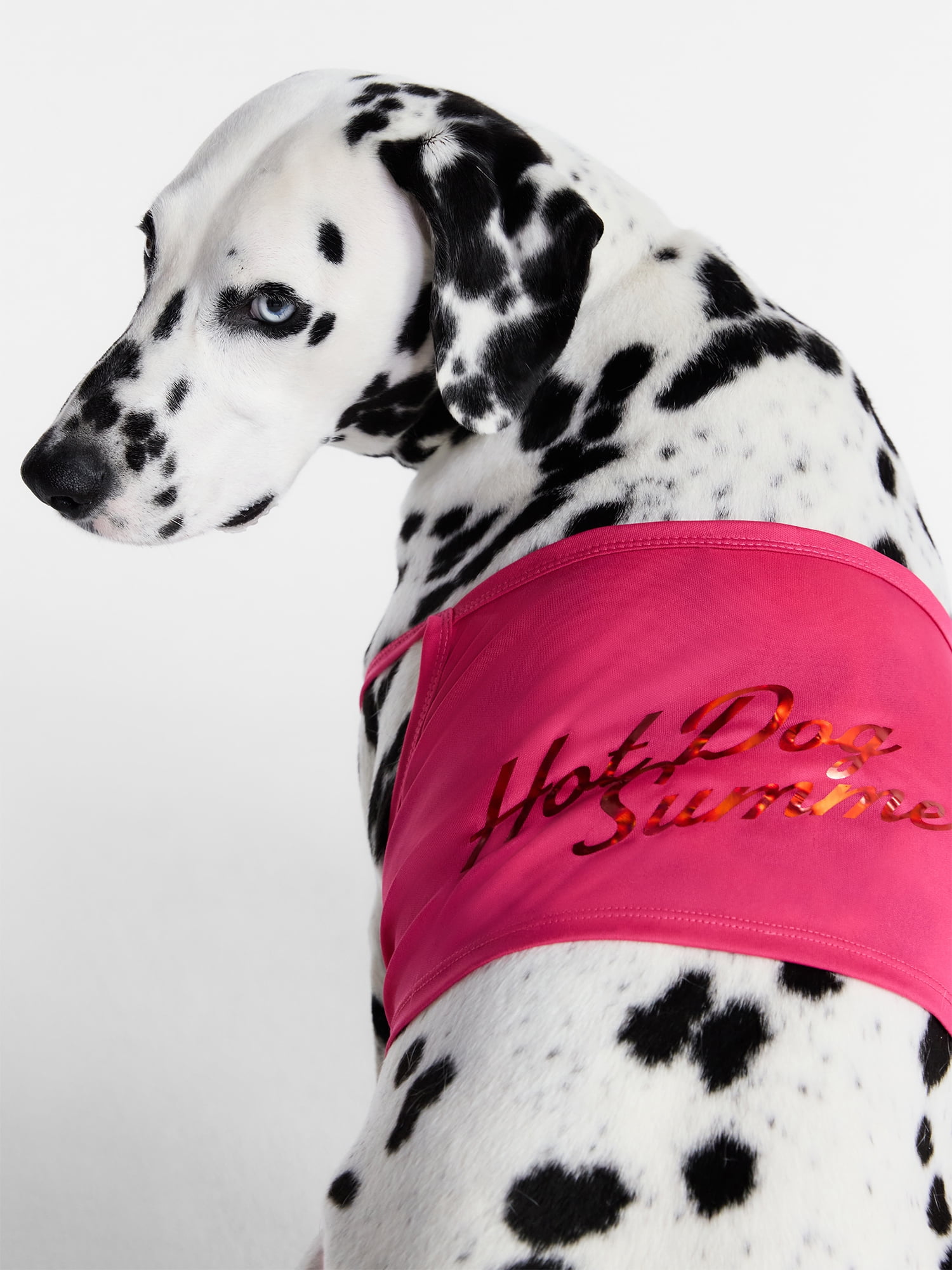 Hot Dog Summer By Megan Thee Stallion Bubblegum Barkini Dog Bikini, Pink, Large