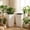 White, variant on 30 Inch Self-Watering Tall Planter Pots Set of 2 with Drainage Holes, Water Level Monitor & Removable Inner Bucket for Indoor Outdoor Use, White
