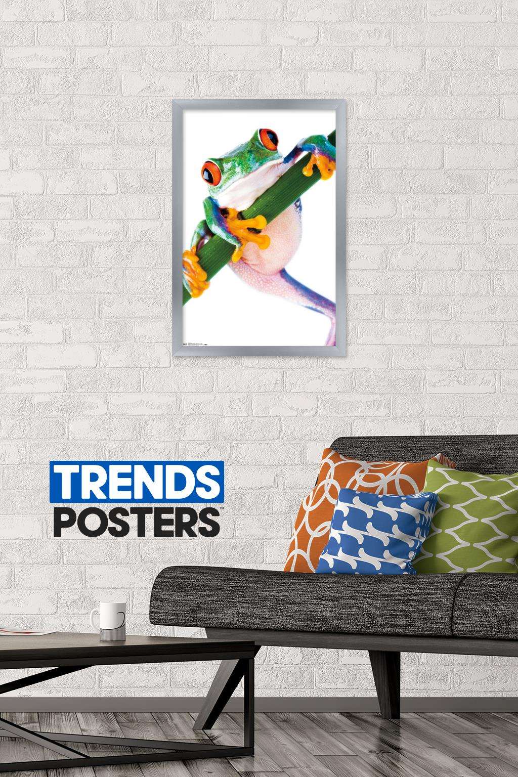 Tree Frog Wall Poster, 14.725" x 22.375", Framed