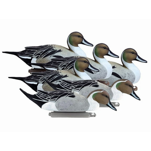 Higdon Battleship Foam Filled Pintail Drakes Only Duck Decoy Polymer 6PK