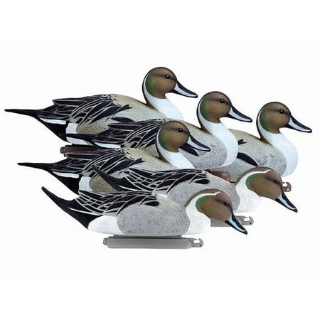 Higdon Battleship Foam Filled Pintail Drakes Only Duck Decoy Polymer 6PK