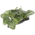 thumbnail image 1 of CTIRCHIU Fish Tank Fake Plants 1Pcs Realistic Green Elliptical Leaves Decor, 1 of 8