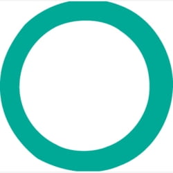 - O-RING