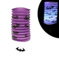 thumbnail image 2 of Halloween Party Decorations  Halloween Hanging Paper Lantern Decorative With Led Lights, 2 of 2