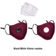 thumbnail image 4 of kurtrusly PM2.5 Dust Mask Anti-dust Anti-haze Windproof Mouth Nose Protection Reusable Sponge Face Mask with Filter Inserts, 4 of 8
