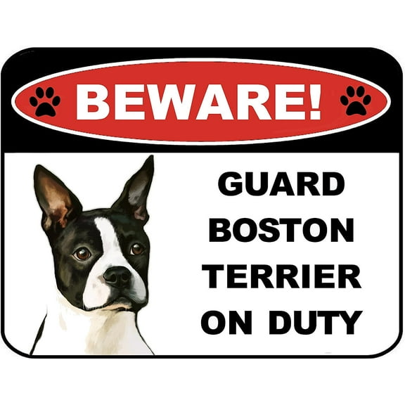 Beware Guard Boston Terrier on Duty (v1) 9 inch x 11.5 inch Laminated Dog Sign