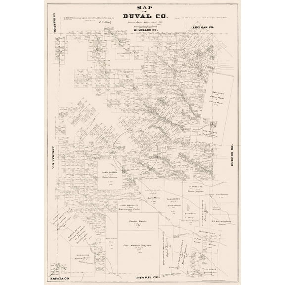 Historic County Map - Duval County Texas - Walsh 1880 - Vintage Wall Art