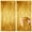 golden, variant on HUONA 2Pcs Fringe Curtain Backdrop Streamer Curtain Ribbon Strip Wall Decorative Fringe Background Tinsel Curtain Decoration for Birthday Party Christmas Wedding Scene Photography Props Rosy