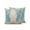Blue4, variant on 1 Pack Outdoor Throw Pillow, Coastal Sea Turtle Waterproof Pillow with Insert Included, Summer Coral Ocean Vintage Wood Decorative Accent Cushion Sofa Pillows for Patio Porch, 16 x 16 In