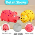 thumbnail image 3 of Squeaky Pig Dog Toys, Grunting Pig Dog Toy That Oinks Grunts for Small Medium Large Dogs, Durable Rubber Pig Squeaker Dog Puppy Chew Toys, Latex Interactive Squeak Funny Cute Dog Toy Set, 3 of 7