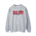 thumbnail image 1 of DC Comics Chandail en Molleton Homme Shazam Fury Of The Gods Pride Distress, 1 of 1