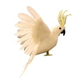 thumbnail image 2 of Estatua de modelo animal de guacamayo emplumado artificial para patio de Blanco Sharpla Estatua de loro, 2 of 6