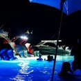 thumbnail image 5 of Lumitec Underwater Light 101515, 5 of 5
