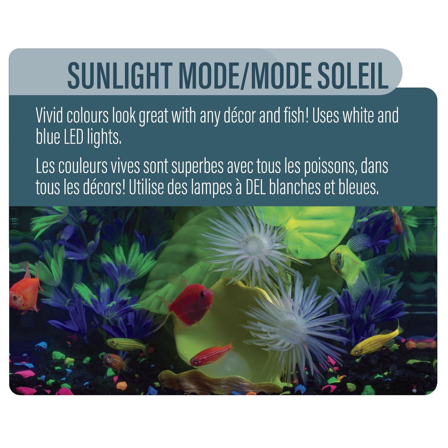 GloFish Aquarium Kit Perfect Starter Tank