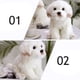 thumbnail image 5 of Animales de peluche Juguete de peluche Perro de peluche Adorable Perro de peluche Precioso juguete de peluche Regalo de cumpleaños para niños, 5 of 7