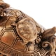 thumbnail image 4 of Adornos  Tortuga De Salud Estatua Artesanal Para Escritorio Oficina Estanterías Baoblaze  Estatua de la tortuga del dragón chino, 4 of 8