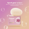 thumbnail image 6 of (3 pack) Caress Daily Silk Beauty Bar Soap for Dry Skin 3.75 oz 12 Bars, 6 of 6