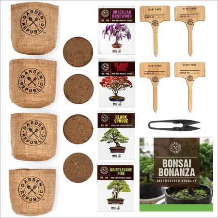 Bonsai Tree Seed Starter Kit - Mini Bonsai Plant Growing Kit, 4 Types of Seeds, Potting Soil, Pots, Pruning Shears Scissor Tool, Plant Markers, Wood Gift Box, eBook, Indoor Garden Gardenin | Walmart Canada Bonsai Tree Seed Starter Kit - Mini Bonsai Plant Growing Kit, 4 Types of Seeds, Potting Soil, Pots, Pruning Shears Scissor Tool, Plant Markers, Wood Gift Box, eBook, Indoor Garden Gardenin | Walmart Canada