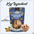 100 Natural Chilean Inshell Walnuts (Akhrot) By Wonderland Foods 500gm
