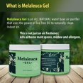 thumbnail image 3 of Gel purificador de aire Melaleuca con aceite de árbol de té australiano, 100 ml, 3 of 7