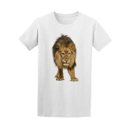 Lion Standing And Looking Down Tee Men's -Image by (Best Looking Down Jacket)