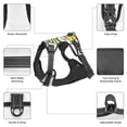 thumbnail image 6 of Lsque Christmas Gnomes Dog Harness, No-Pull Pet Harness with 2 Leash Clips, Adjustable Soft Padded Dog Vest with Easy Control Handle for Large Dogs-Medium, 6 of 9