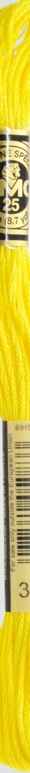 DMC Embroidery Floss