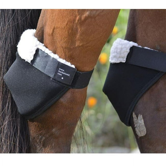 Hock Shield Hock Shield CHHSAR Protection de Jarret de Cheval - Taille Régulière