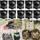 thumbnail image 1 of Kit de Equipo Enraizamiento Plantas Reutilizable 10 Piezas Caja Corte Propagador Ramas Bola CríA, 1 of 5