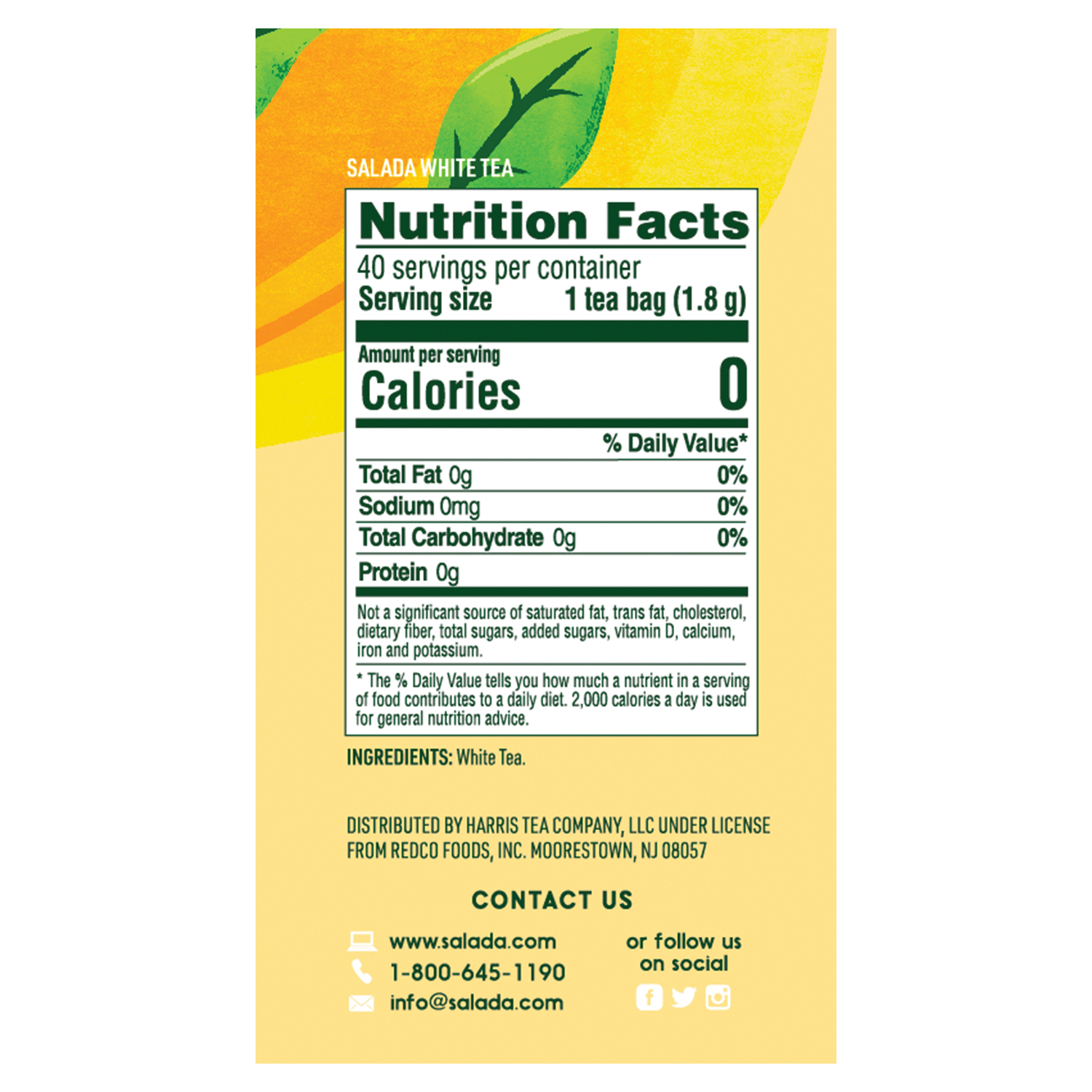 Salada White Tea with 40 Individually Wrapped Tea Bags Per Box (Pack of 6) Contains Caffeine Brew Hot Naturally Flavored