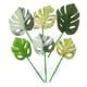 thumbnail image 2 of 6 almohadillas de hojas para peces Betta: mejora la salud de los peces Betta, hábitat natural, zona de descanso, lecho de plantas Monstera, adorno para acuario., 2 of 6