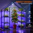 thumbnail image 2 of Mophoto Indoor Greenhouse with Grow Light,4-Tier Mini Greenhouse 56.3"x28.7"x76.8" PVC Cover with Timer Dimmable Plant Light for Indoor Plants Seed Starting Trays, 2 of 9