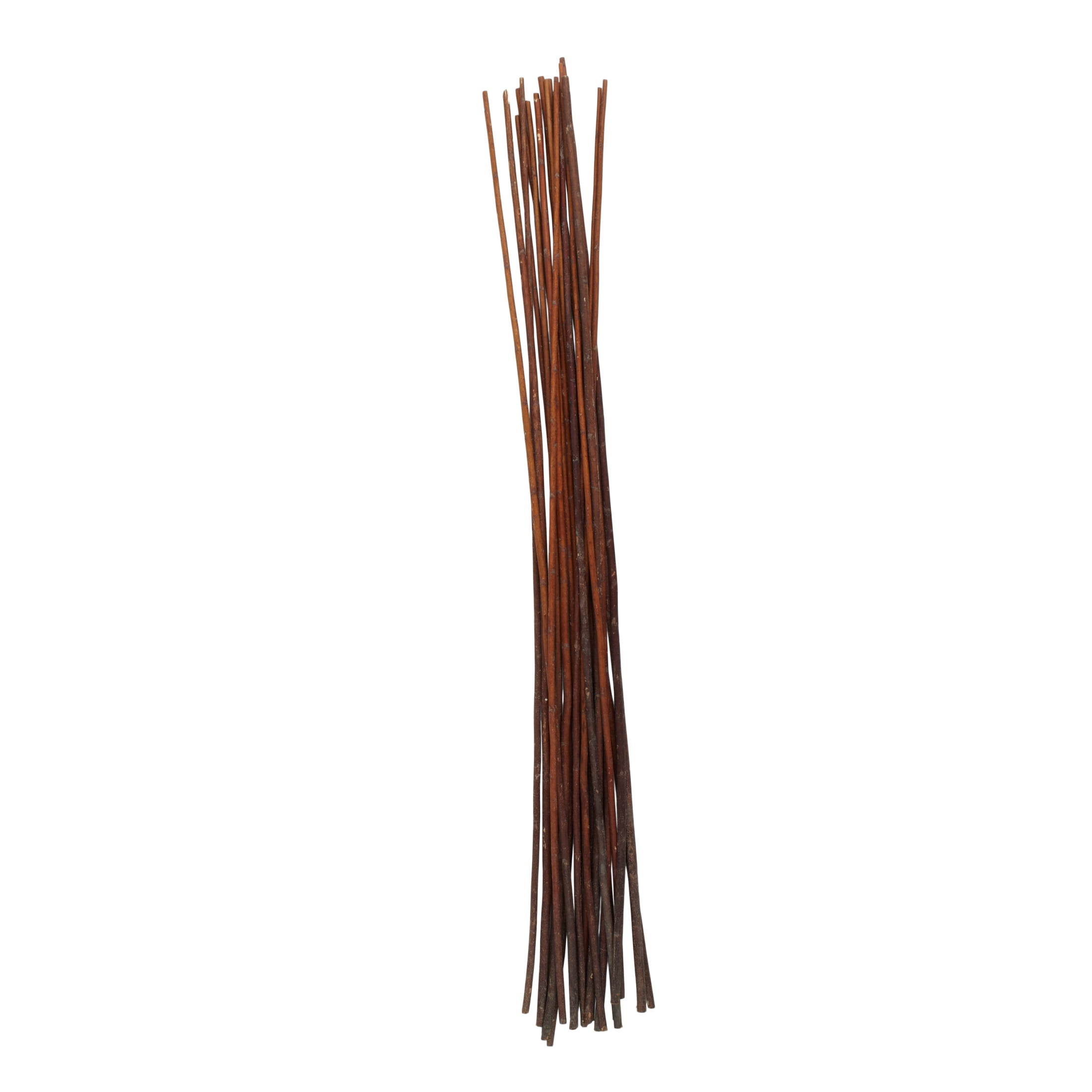 60" Tall Sticks Jute Rope Natural Foliage Bouquet, by DecMode