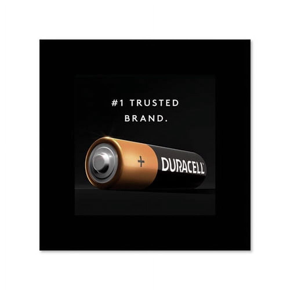 CopperTop Alkaline AA Batteries 24/Box