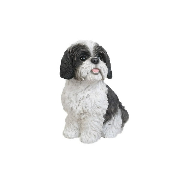 Iron butterfly cheap shih tzu