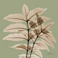 thumbnail image 3 of Koetsier, Albert 12x12 Black Modern Framed Museum Art Print Titled - Tree Of Heaven, 3 of 5