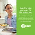 thumbnail image 3 of LunchBots Small Protein Packer Toddler Bento Box - Extra Small Divided Stainless Steel Snack Container - 4 Sections for 1-2oz of Nuts, Meat, Cheese, Finger Foods - Dishwasher Safe - Stainless Lid, 3 of 7