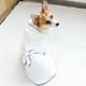 thumbnail image 4 of Albornoz sencillo para perro, absorbente, de secado rápido, de poliéster, suave y cálido, ideal para perros y gatos (blanco, talla XL), 4 of 7